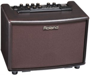 Roland AC-33-RW